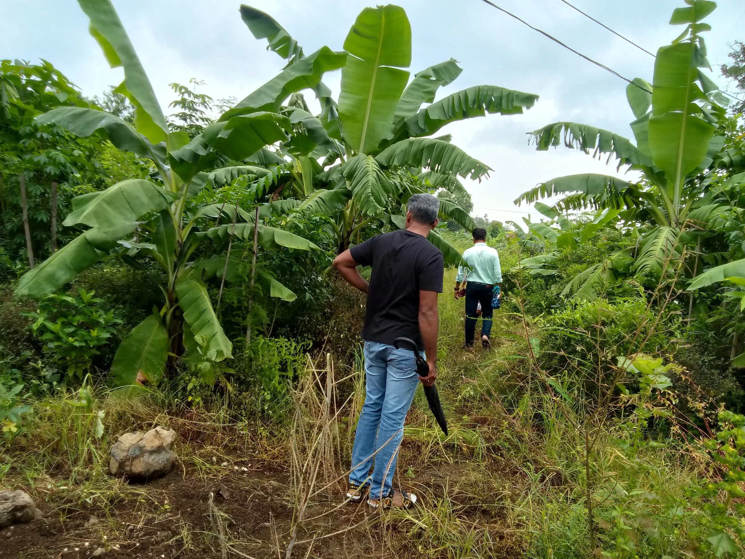 HPSEWA Committee Visit and Tree Plantation Planning